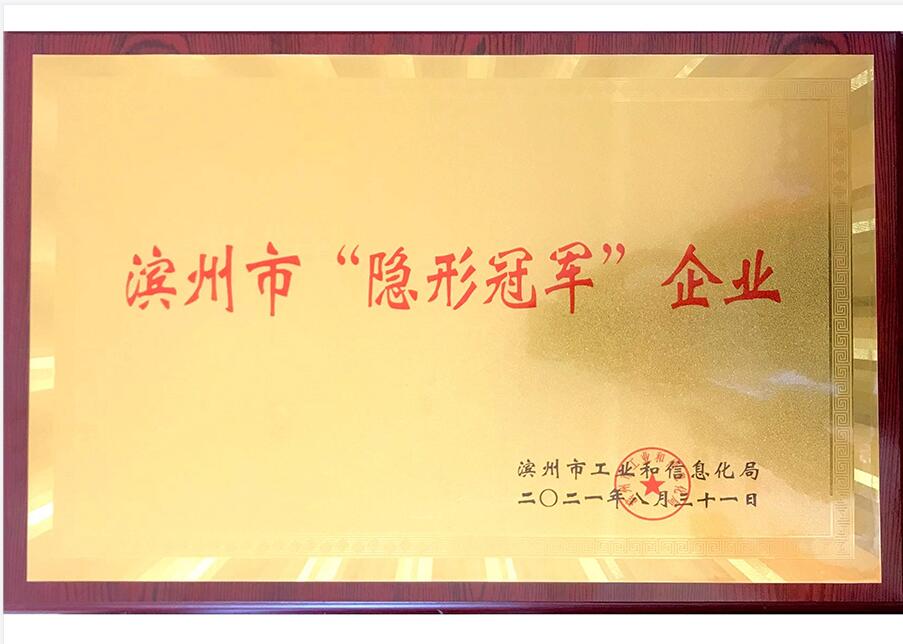 濱州市隱形冠軍企業(yè)