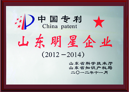 山東明星企業(yè)